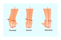 Pronation and Supination in the Feet